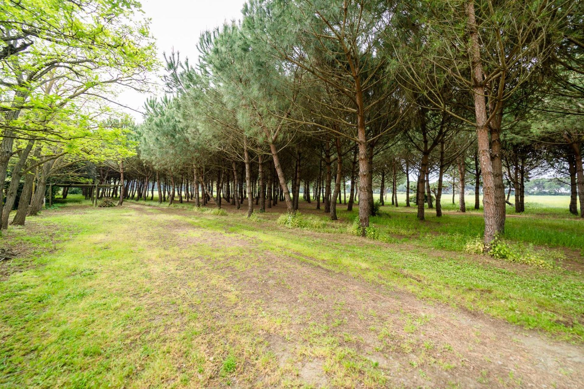 Agriturismo Bio Femminella Principina a Mare Exterior photo